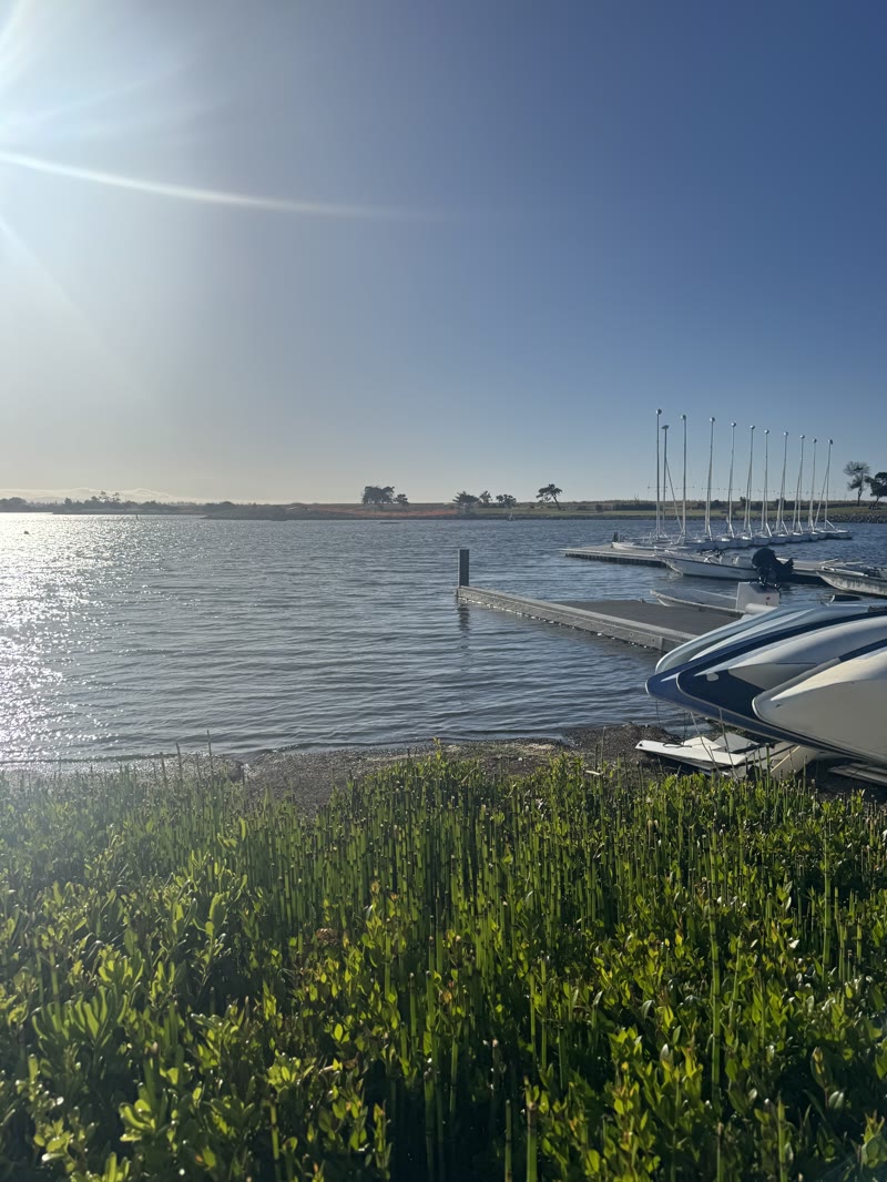 A row of small sailboats moored along a dock on a calm lagoon
